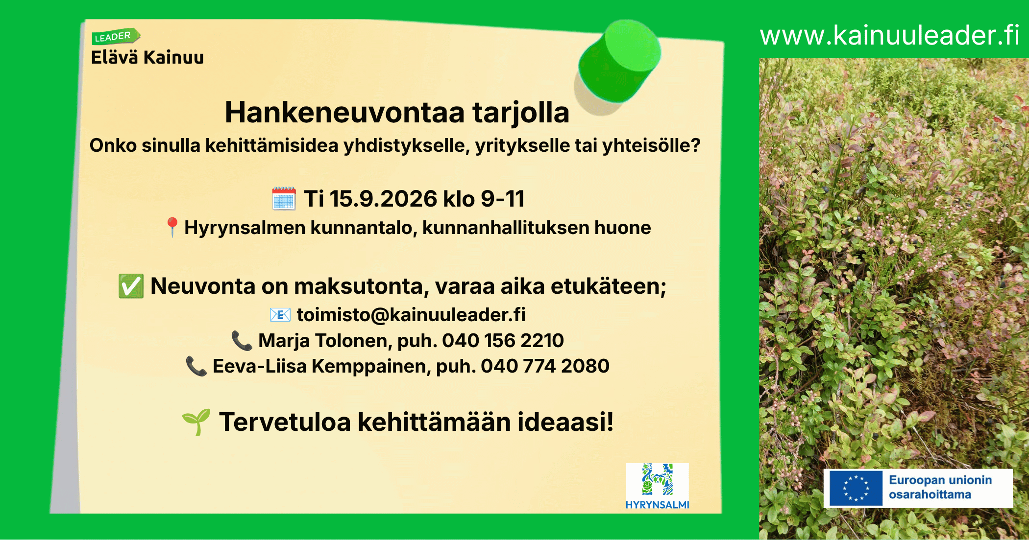 Kutsu hankeneuvontaan. Kuvassa kutsun tiedot (löytyvät myös artikkelin tekstistä), mustikkavarpuja, Kainuu leaderin logo ja Hyrynsalmen kunnan logo.
